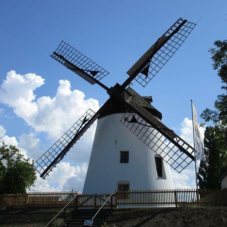 Gastehaus Moser Bed and Breakfast Podersdorf am See Εξωτερικό φωτογραφία